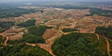 Muhammadiyah Perlu Peringatkan Pemerintah untuk Perhatikan Tata Kelola Lingkungan yang Baik