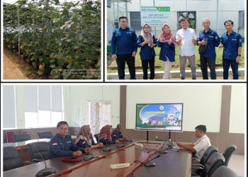 Smart Green House Babak Baru Pertanian OKU Timur