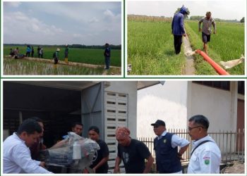 Respon Penyuluh Pertanian OKUT Cepat Atasi Kekeringan