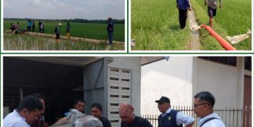 Respon Penyuluh Pertanian OKUT Cepat Atasi Kekeringan