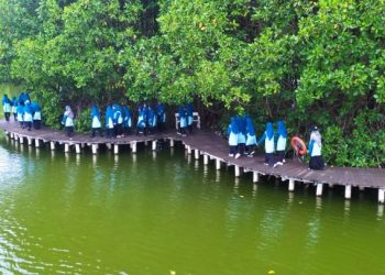 Jaga Ekosistem Alam, Siswa-siswi Kelas 7 SMP Muhammadiyah PK Solo Tanam Bibit Mangrove