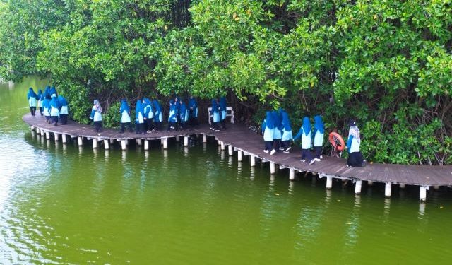 Jaga Ekosistem Alam, Siswa-siswi Kelas 7 SMP Muhammadiyah PK Solo Tanam Bibit Mangrove