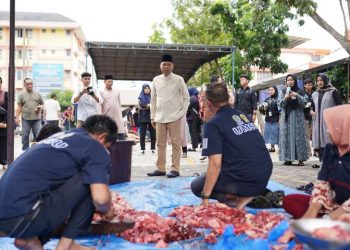 Idul Adha 1445 H, UMSU Sembelih 60 Ekor Hewan Kurban
