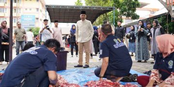 Idul Adha 1445 H, UMSU Sembelih 60 Ekor Hewan Kurban
