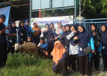 Pelaksanaan Ibadah Kurban di Pesantren Lansia Khusnul Khatimah