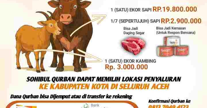 Berinovasi, Lazismu Aceh Sediakan Daging Qurban Berbentuk Kemasan