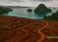 Raja Ampat Terpenjara dalam Logika Makroekonomi yang Merusak