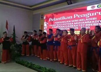 Resmi Dilantik, Pimda 137 Tapak Suci Brebes 2025–2030 Langsung Gelar Pelatihan Wasit dan Juri