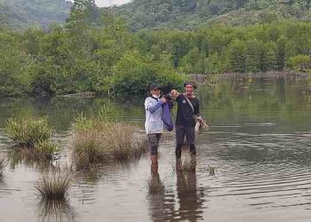 Hari Mangrove, Mengintip Clean Up Para Pegiat di Konservasi Mangrove Binaan PTAR