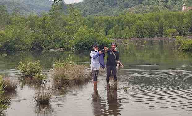 Hari Mangrove, Mengintip Clean Up Para Pegiat di Konservasi Mangrove Binaan PTAR