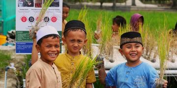 Foto: Padi Hidroponik