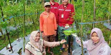 Inovasi Kampus untuk Petani: Universitas Terapkan Perangkap Hama Tenaga Surya di Desa Giri Wetan