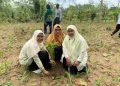 Semarak Milad 113 Muhammadiyah dengan Hijaukan Bumi: PDNA Banyumas Menyemai Dakwah Ekologis Lewat 1.113 Pohon