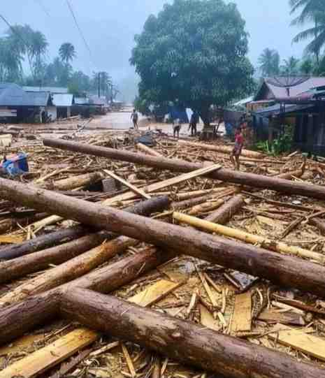 Bencana Banjir di Sumatera, Azmi Syahputra: “Ini Bukan Fenomena Alam, Tapi Jejak Kejahatan Kehutanan dan Kegagalan Negara”