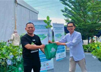 Ribuan Pohon Buah Dibagikan di UM Bandung, Milad Muhammadiyah Hadirkan Suasana Hijau