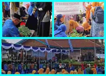 PonpesMu Manafi’ul ‘Ulum Sambi Tebar 1000 Bibit Cabai & Terong pada Resepsi Milad ke-113 Muhammadiyah Boyolali