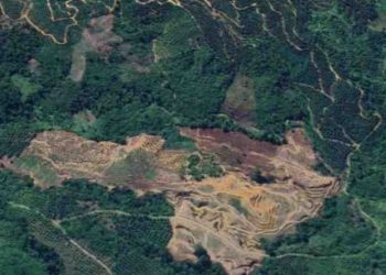 Aktivis Muda Soroti Penambangan Ilegal di Pasaman Barat, Desak Bupati Ambil Tindakan Tegas