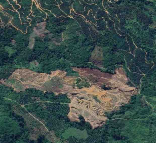 Aktivis Muda Soroti Penambangan Ilegal di Pasaman Barat, Desak Bupati Ambil Tindakan Tegas