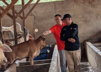 Dari Kandang Sapi ke Ruang Siber: Silaturahmi yang Menyatukan Keamanan dan Kemandirian Umat