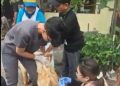 Program Perkuat ASUH, PRM Sekardangan Sidoarjo Gandeng Unair dalam Penyembelihan Hewan Kurban