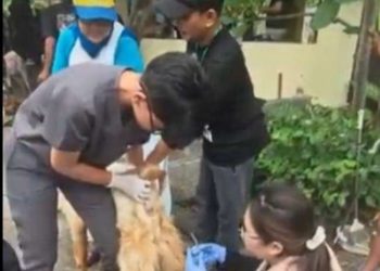 Program Perkuat ASUH, PRM Sekardangan Sidoarjo Gandeng Unair dalam Penyembelihan Hewan Kurban