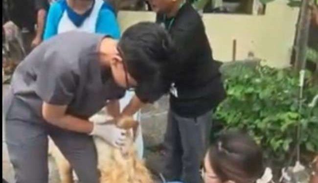 Program Perkuat ASUH, PRM Sekardangan Sidoarjo Gandeng Unair dalam Penyembelihan Hewan Kurban