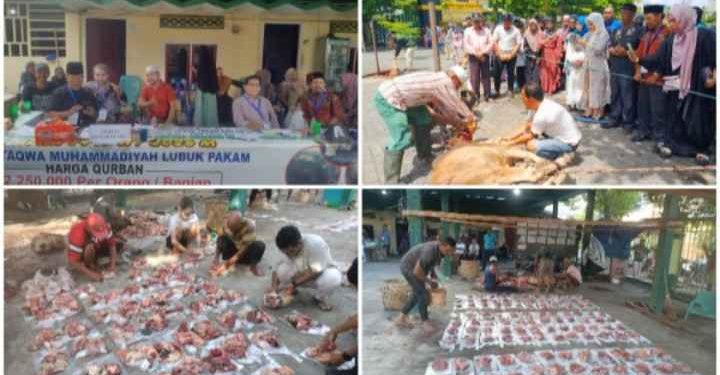 Iduladha 1447 H, PCM Lubuk Pakam Sembelih 17 Lembu dan 1 Kambing