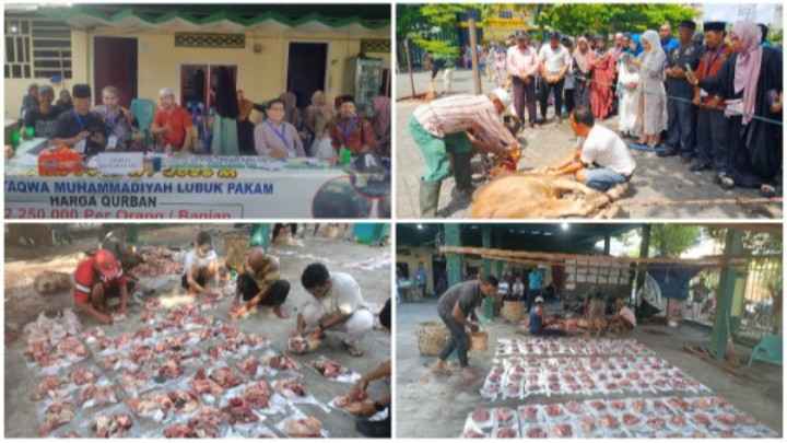 Iduladha 1447 H, PCM Lubuk Pakam Sembelih 17 Lembu dan 1 Kambing